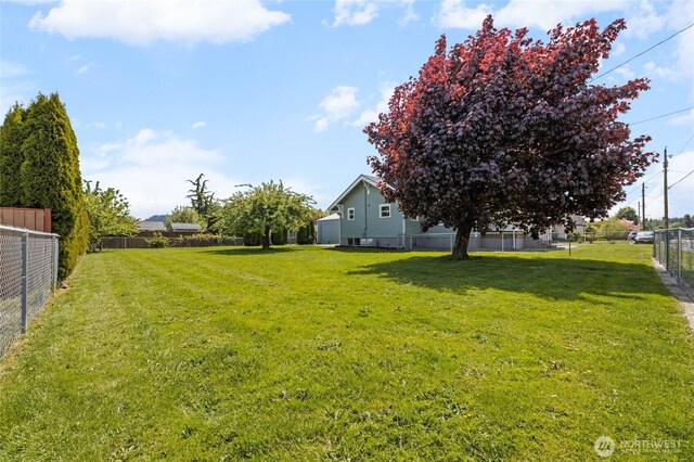 256 & St, Buckley, WA 98321 - view of yard