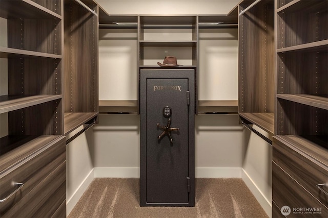 3003 Mountain View Ave N, Renton, WA 98056 - walk in closet with dark colored carpet
