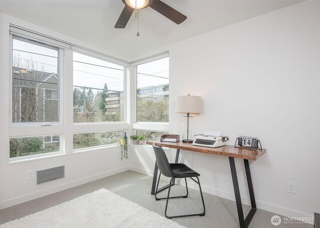 8362 12th Ave NW, Seattle, WA 98117 - photo 11