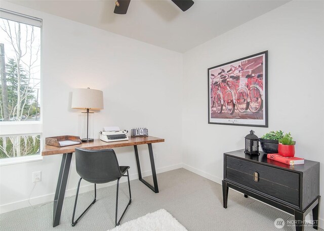 8362 12th Ave NW, Seattle, WA 98117 - photo 12