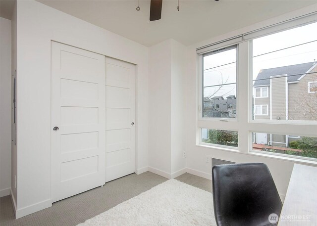 8362 12th Ave NW, Seattle, WA 98117 - photo 17