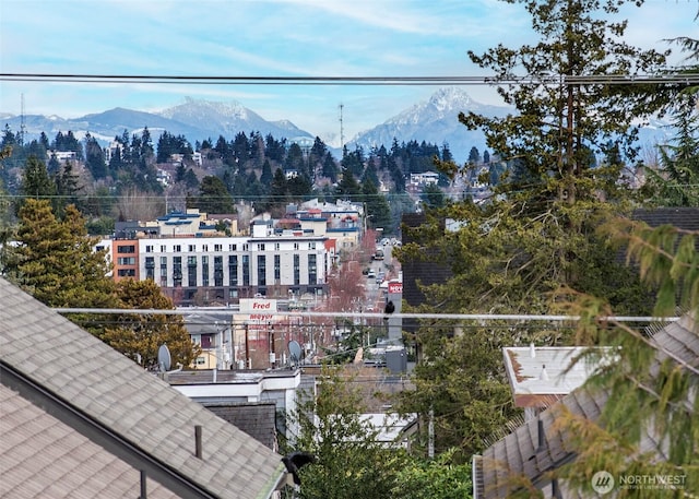 8362 12th Ave NW, Seattle, WA 98117 - photo 29