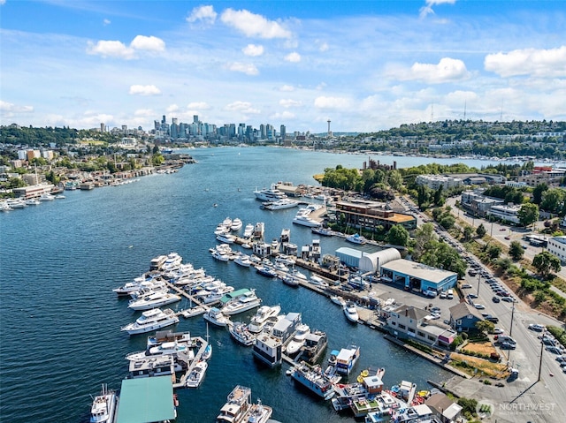 2401 N Northlake Way Unit F6, Seattle, WA 98103 - bird's eye view of city skyline and a large body of water
