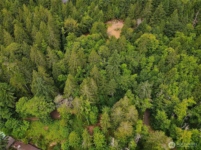 110 N Arnolds Way, Hoodsport, WA 98548 - photo 6