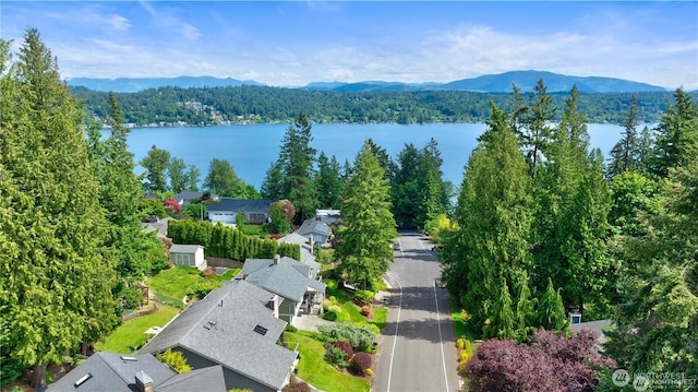 18510 NE 15th Pl, Bellevue, WA 98008 - drone / aerial view of a forest and a water and mountain view