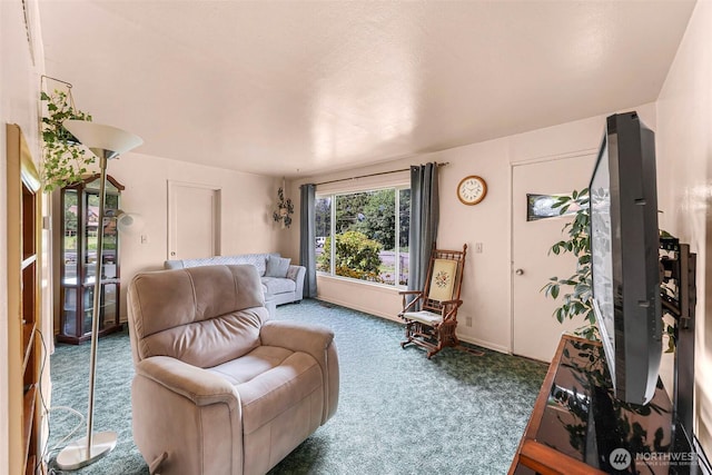 4420 NW Dr, Bellingham, WA 98226 - photo 5