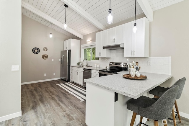 1535 Ten Mile Rd, Everson, WA 98247 - kitchen with stainless steel appliances, under cabinet range hood, backsplash, a peninsula, and pendant lighting