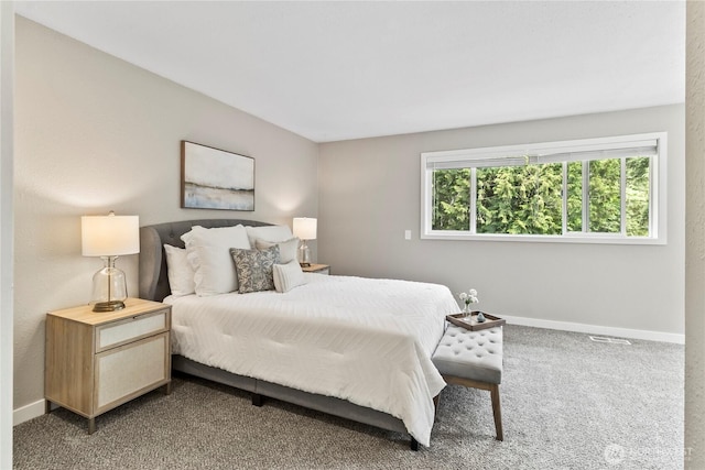 1535 Ten Mile Rd, Everson, WA 98247 - bedroom featuring baseboards and carpet floors