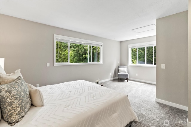 1535 Ten Mile Rd, Everson, WA 98247 - carpeted bedroom featuring baseboards