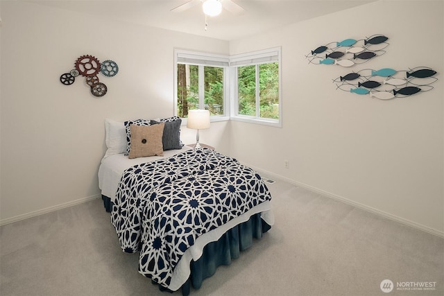 45703 SE 139th Pl, North Bend, WA 98045 - photo 24