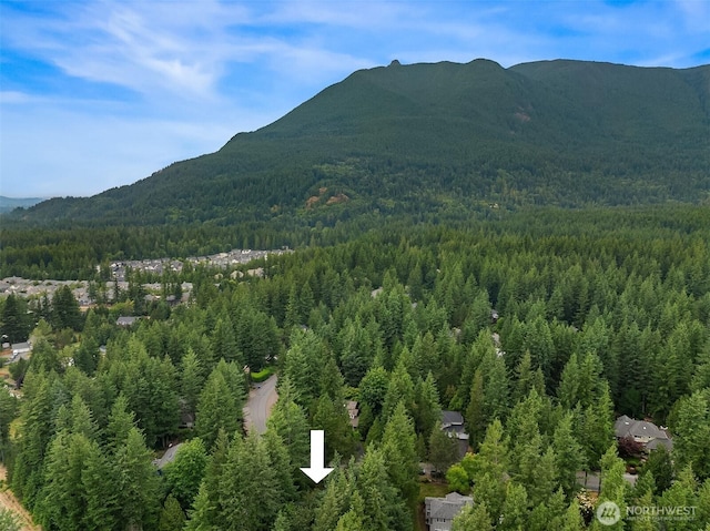 45703 SE 139th Pl, North Bend, WA 98045 - photo 38