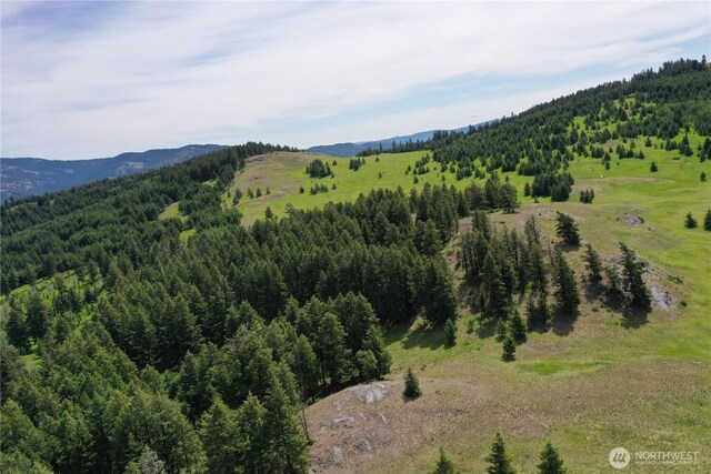 37 Turner Homestead Rd, Oroville, WA 98844 - photo 1