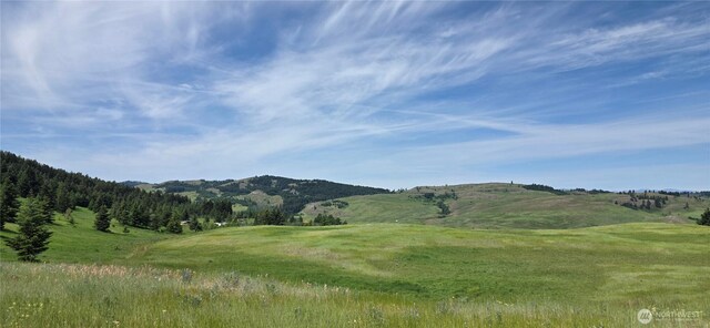 37 Turner Homestead Rd, Oroville, WA 98844 - photo 3
