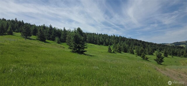 37 Turner Homestead Rd, Oroville, WA 98844 - photo 5