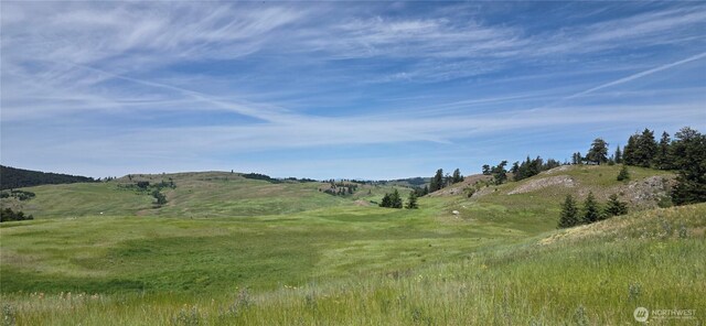 37 Turner Homestead Rd, Oroville, WA 98844 - photo 7