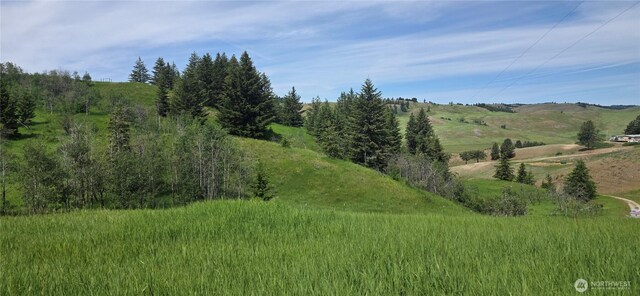 37 Turner Homestead Rd, Oroville, WA 98844 - photo 11