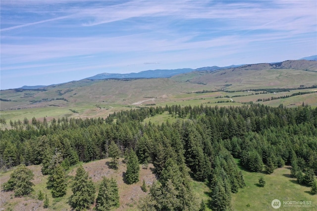 37 Turner Homestead Rd, Oroville, WA 98844 - photo 15