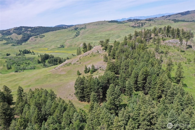37 Turner Homestead Rd, Oroville, WA 98844 - photo 17