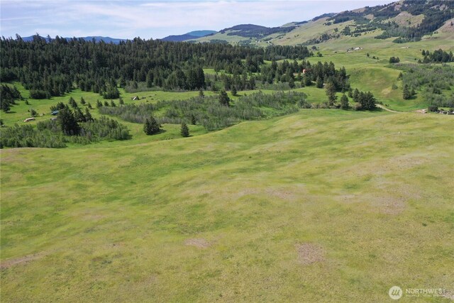 37 Turner Homestead Rd, Oroville, WA 98844 - photo 19