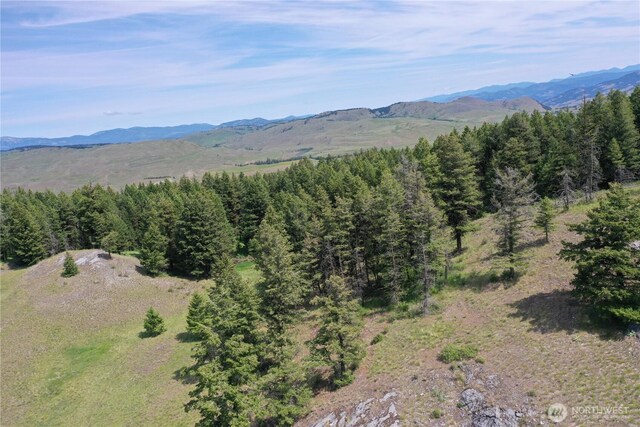 37 Turner Homestead Rd, Oroville, WA 98844 - photo 20