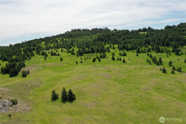 37 Turner Homestead Rd, Oroville, WA 98844 - photo 21