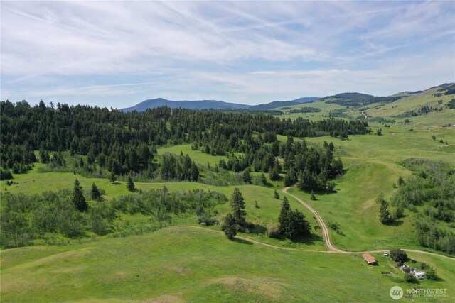 37 Turner Homestead Rd, Oroville, WA 98844 - photo 22