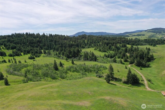 37 Turner Homestead Rd, Oroville, WA 98844 - photo 23