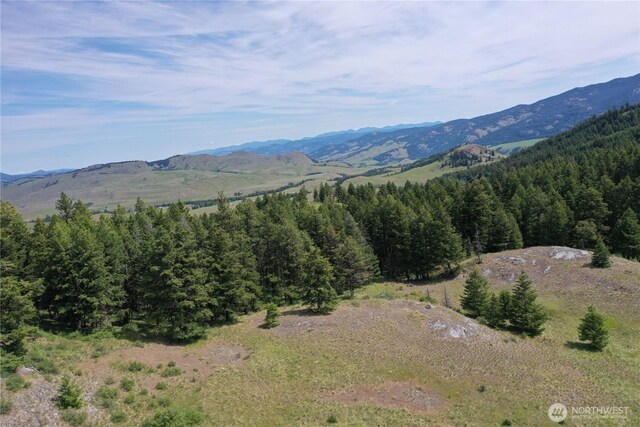 37 Turner Homestead Rd, Oroville, WA 98844 - photo 26
