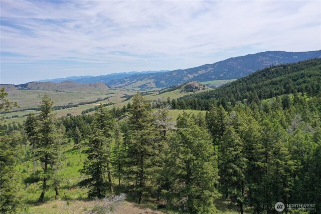37 Turner Homestead Rd, Oroville, WA 98844 - photo 28