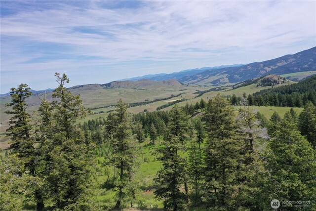 37 Turner Homestead Rd, Oroville, WA 98844 - photo 29