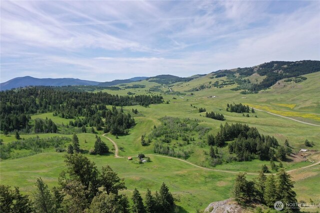 37 Turner Homestead Rd, Oroville, WA 98844 - photo 31