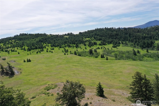 37 Turner Homestead Rd, Oroville, WA 98844 - photo 33