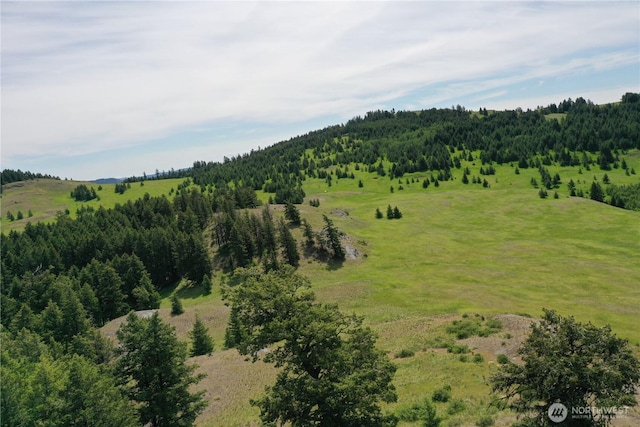 37 Turner Homestead Rd, Oroville, WA 98844 - photo 34