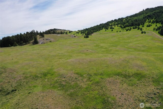 37 Turner Homestead Rd, Oroville, WA 98844 - photo 36