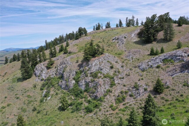 37 Turner Homestead Rd, Oroville, WA 98844 - photo 37