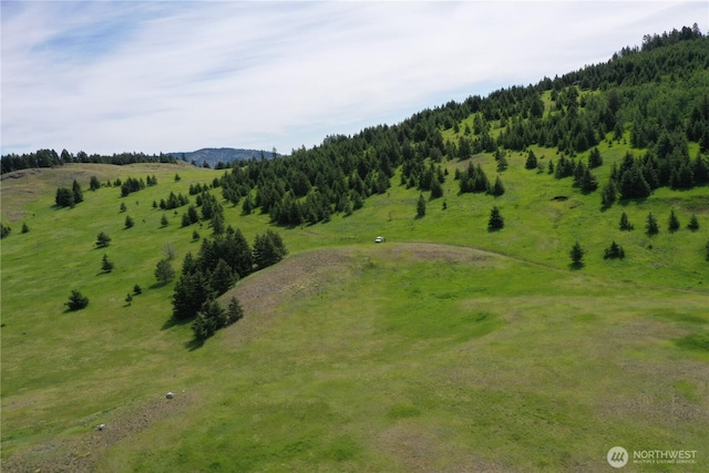 37 Turner Homestead Rd, Oroville, WA 98844 - photo 39