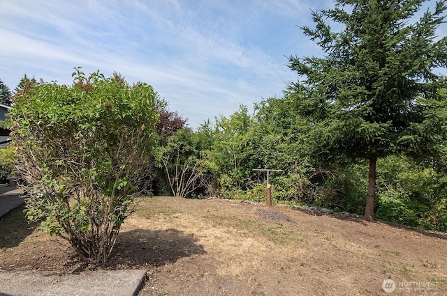 5312 S Hazel St, Seattle, WA 98178 - view of yard