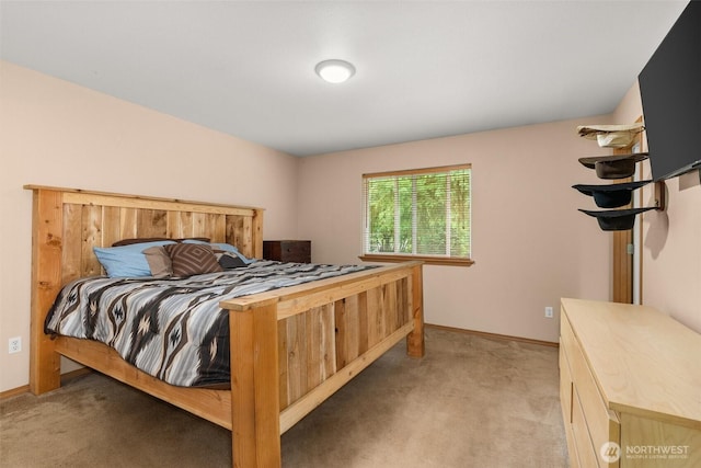 14628 Vail Cut Off Rd SE, Rainier, WA 98576 - photo 18