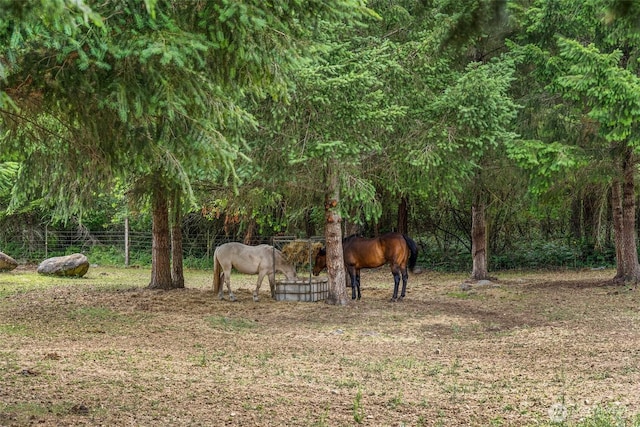 14628 Vail Cut Off Rd SE, Rainier, WA 98576 - photo 29