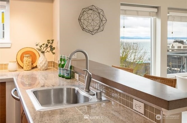2440 Western Ave Unit 503, Seattle, WA 98121 - kitchen view of a sink
