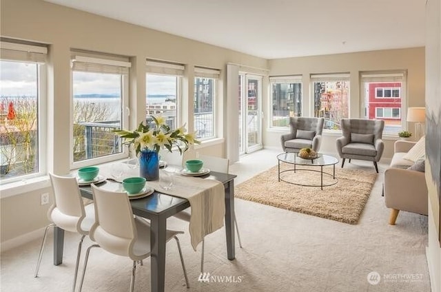 2440 Western Ave Unit 503, Seattle, WA 98121 - sunroom with carpet flooring and plenty of natural light