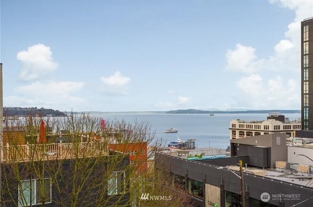 2440 Western Ave Unit 503, Seattle, WA 98121 - water view
