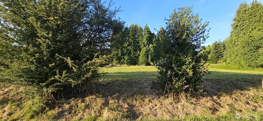 3590 Pennsylvania St, Longview, WA 98632 - photo 1