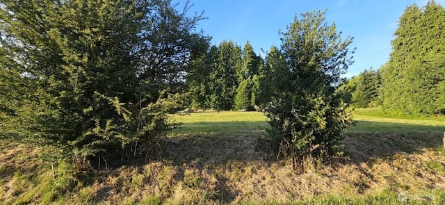 3590 Pennsylvania St, Longview, WA 98632 - photo 1