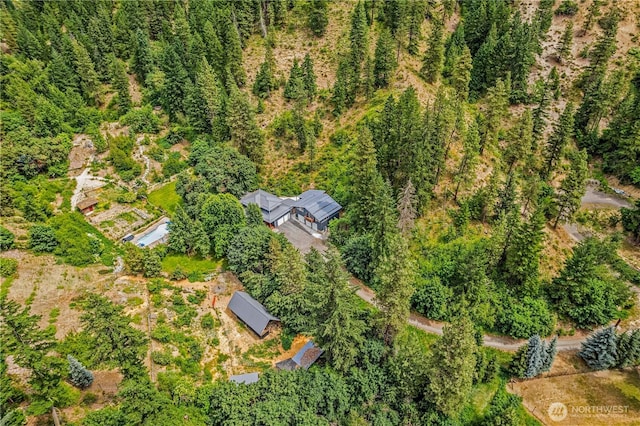 359 Timber Ridge Canyon Rd, Leavenworth, WA 98826 - aerial view of property's location