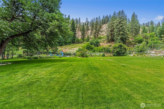 359 Timber Ridge Canyon Rd, Leavenworth, WA 98826 - view of yard