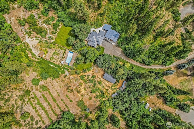 359 Timber Ridge Canyon Rd, Leavenworth, WA 98826 - aerial view of property's location
