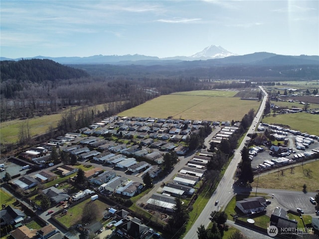 836 E Harman Way E Unit 62, Orting, WA 98360 - aerial view of property and surrounding area featuring a mountain backdrop