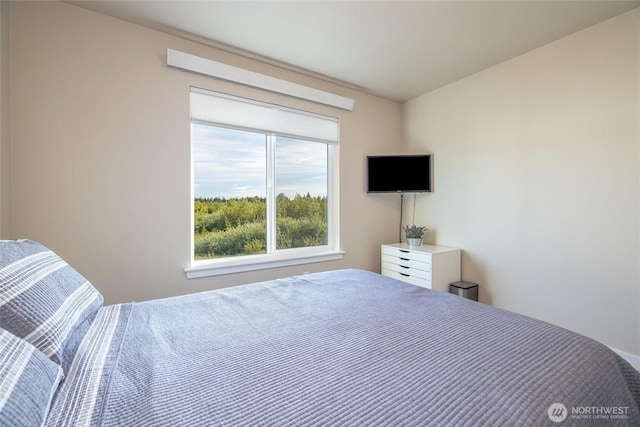 707 Northview St, Bellingham, WA 98226 - view of bedroom