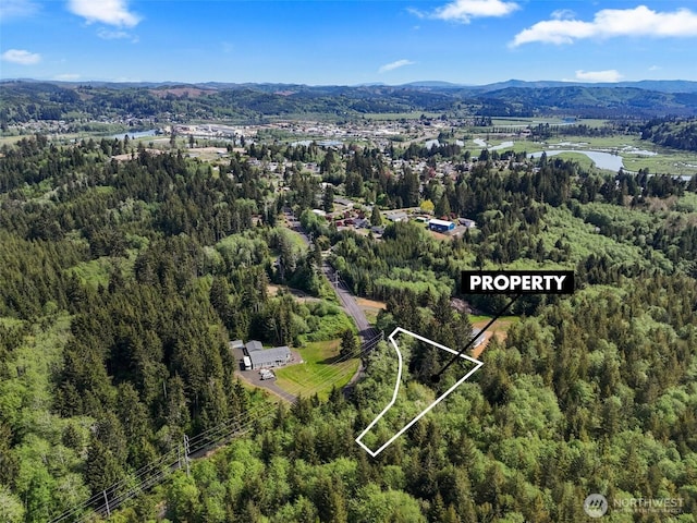 1420 S Bend Rd, Raymond, WA 98577